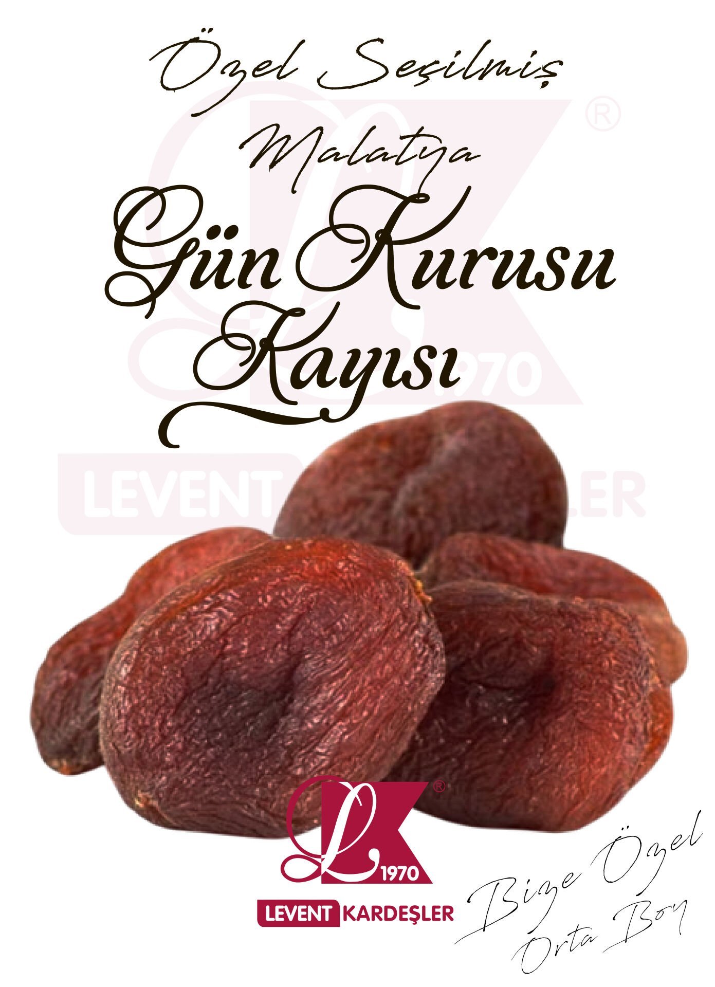 MALATYA GÜN KURUSU KAYISI
