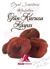 MALATYA GÜN KURUSU KAYISI