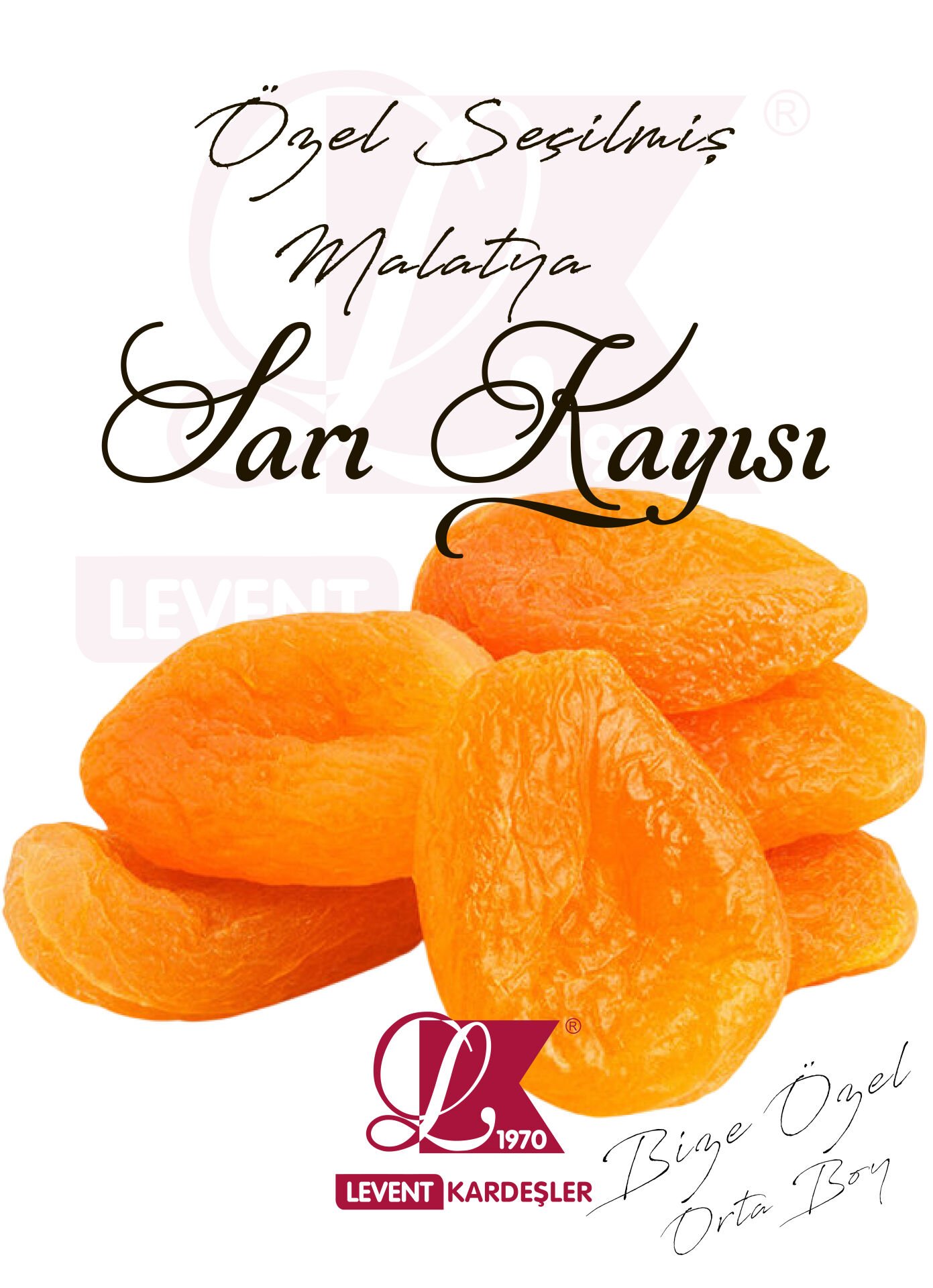 MALATYA SARI KAYISI