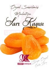 MALATYA SARI KAYISI