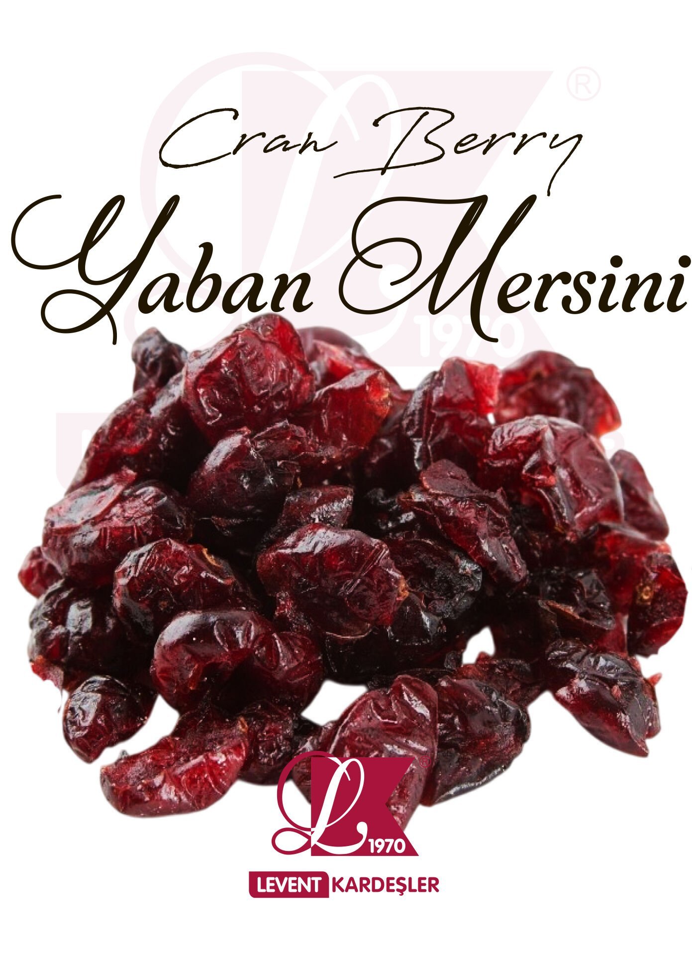 CRAN BERRY (YABAN MERSİNİ)