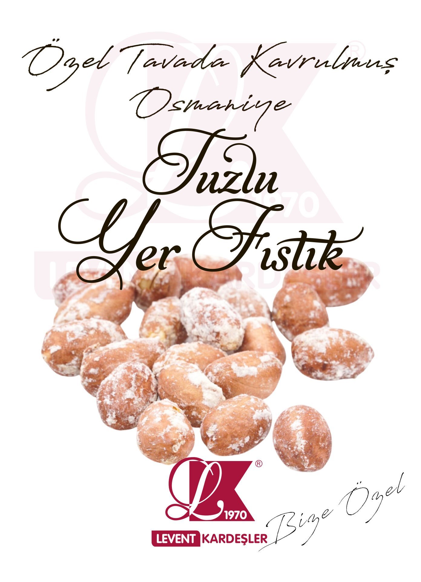 OSMANİYE TUZLU YER FISTIK