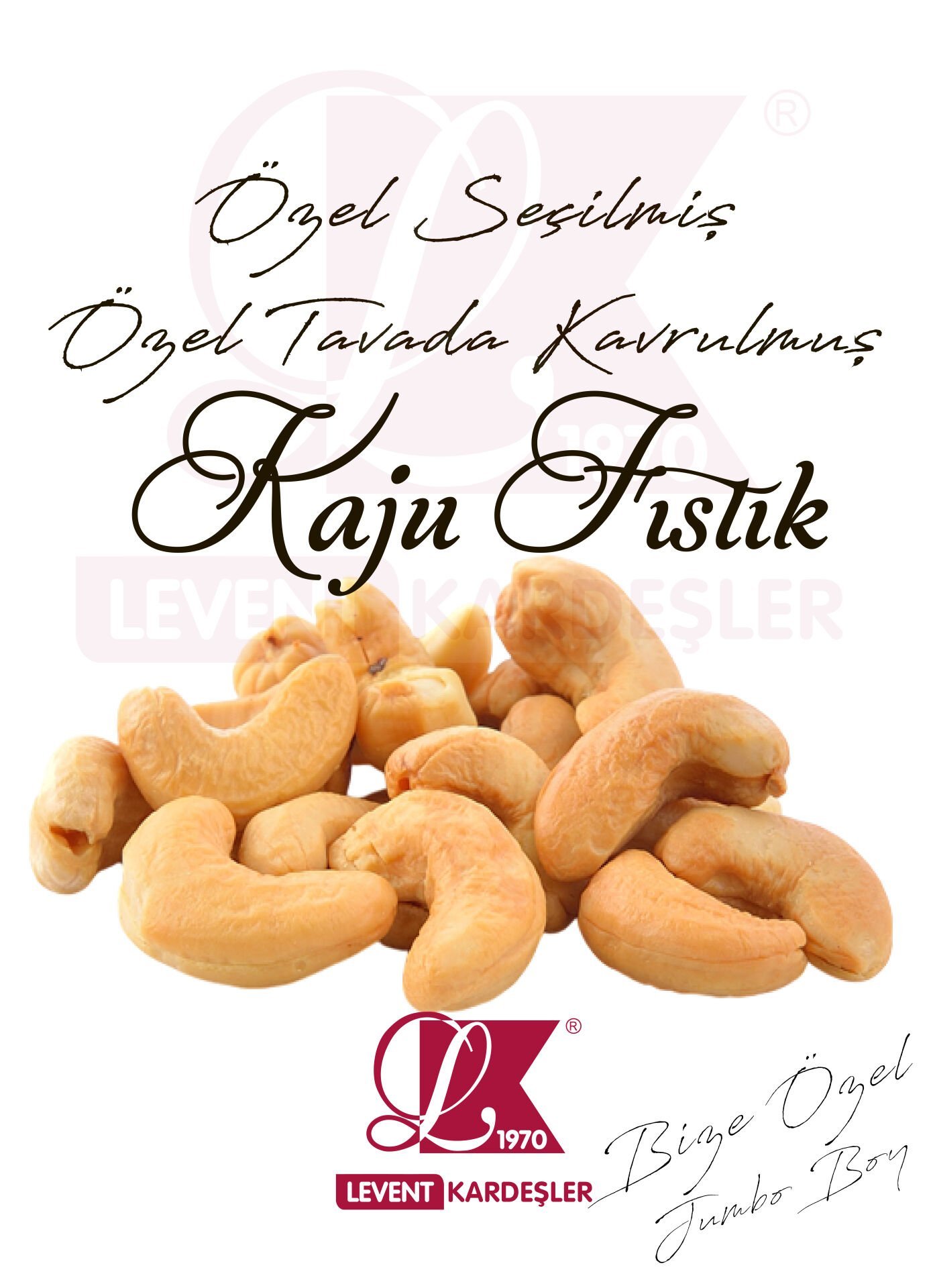 TUZLU KAVRULMUŞ KAJU FISTIK