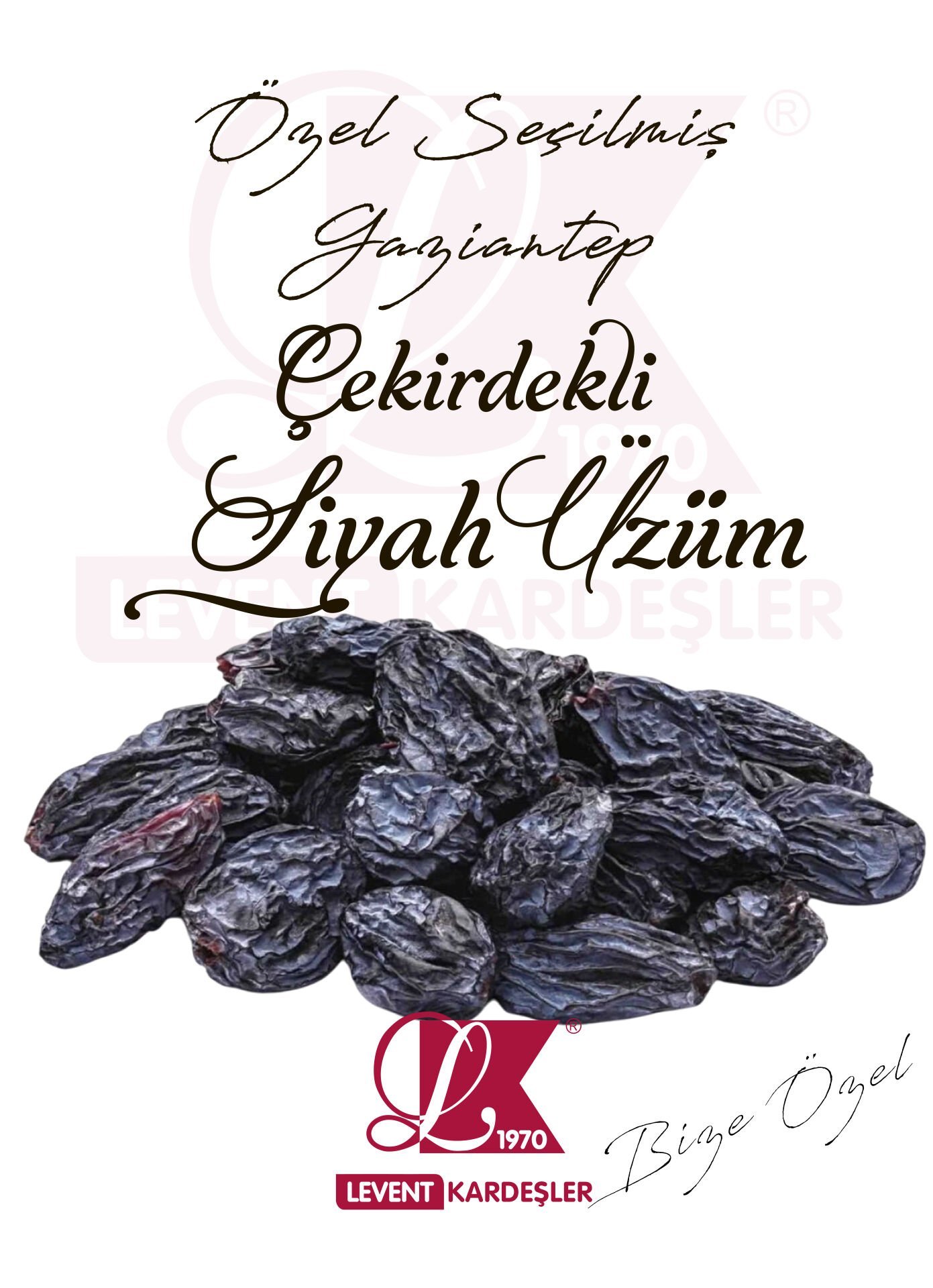 GAZİANTEP ÇEKİRDEKLİ SİYAH ÜZÜM