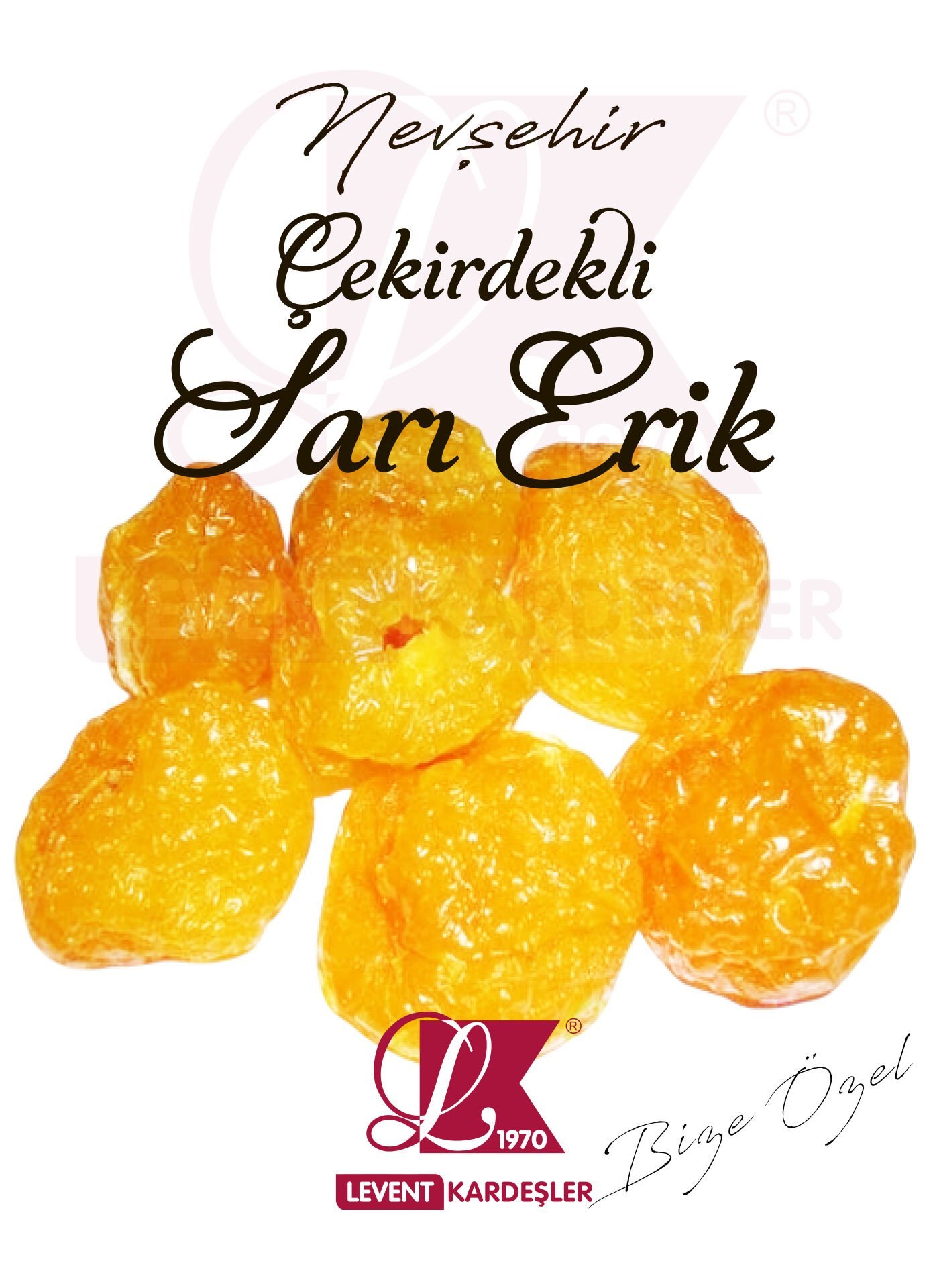 NEVŞEHİR ÇEKİRDEKLİ SARI ERİK