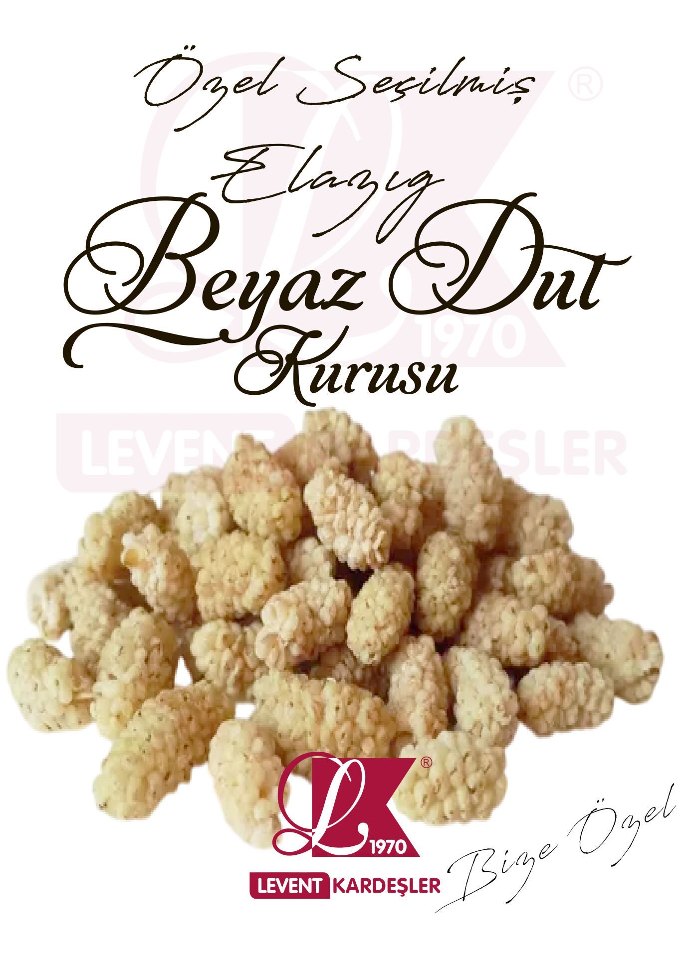 ELAZIG BEYAZ DUT KURUSU