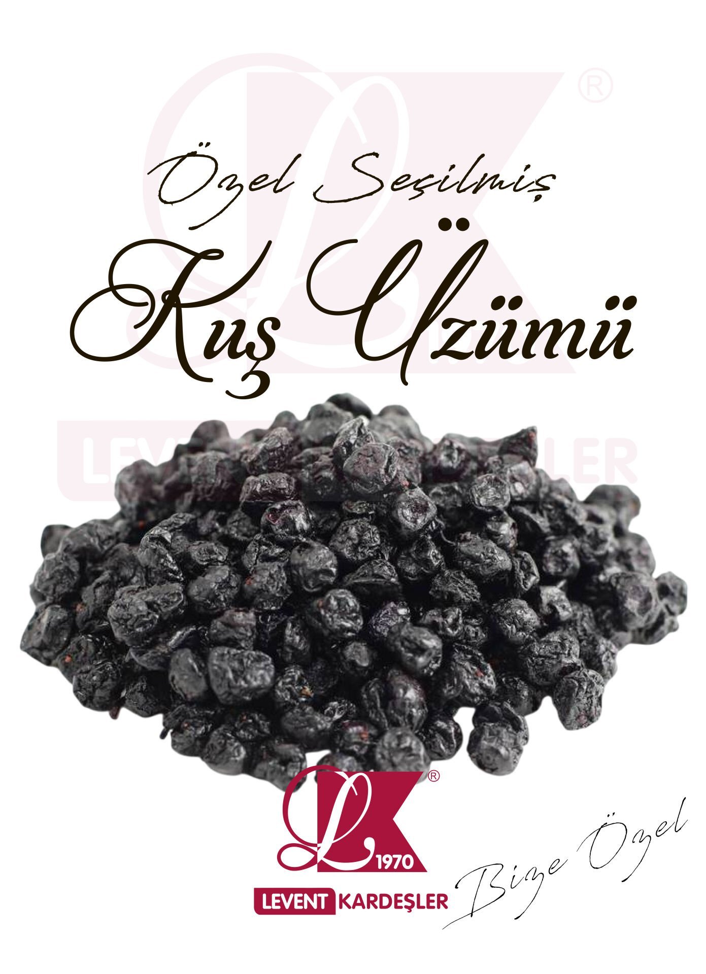 KUŞ ÜZÜMÜ (DOLMALIK)