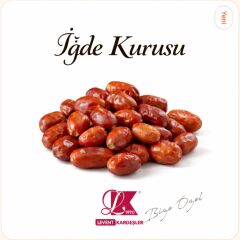 İĞDE KURUSU