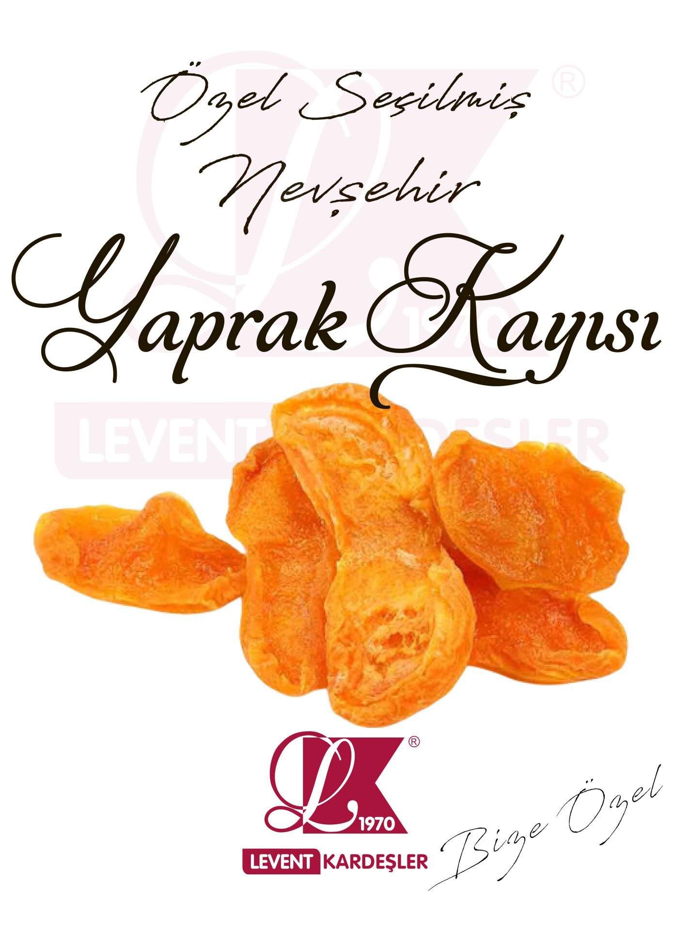 NEVŞEHİR YAPRAK KAYISI ( ZERDALİ)