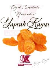 NEVŞEHİR YAPRAK KAYISI ( ZERDALİ)
