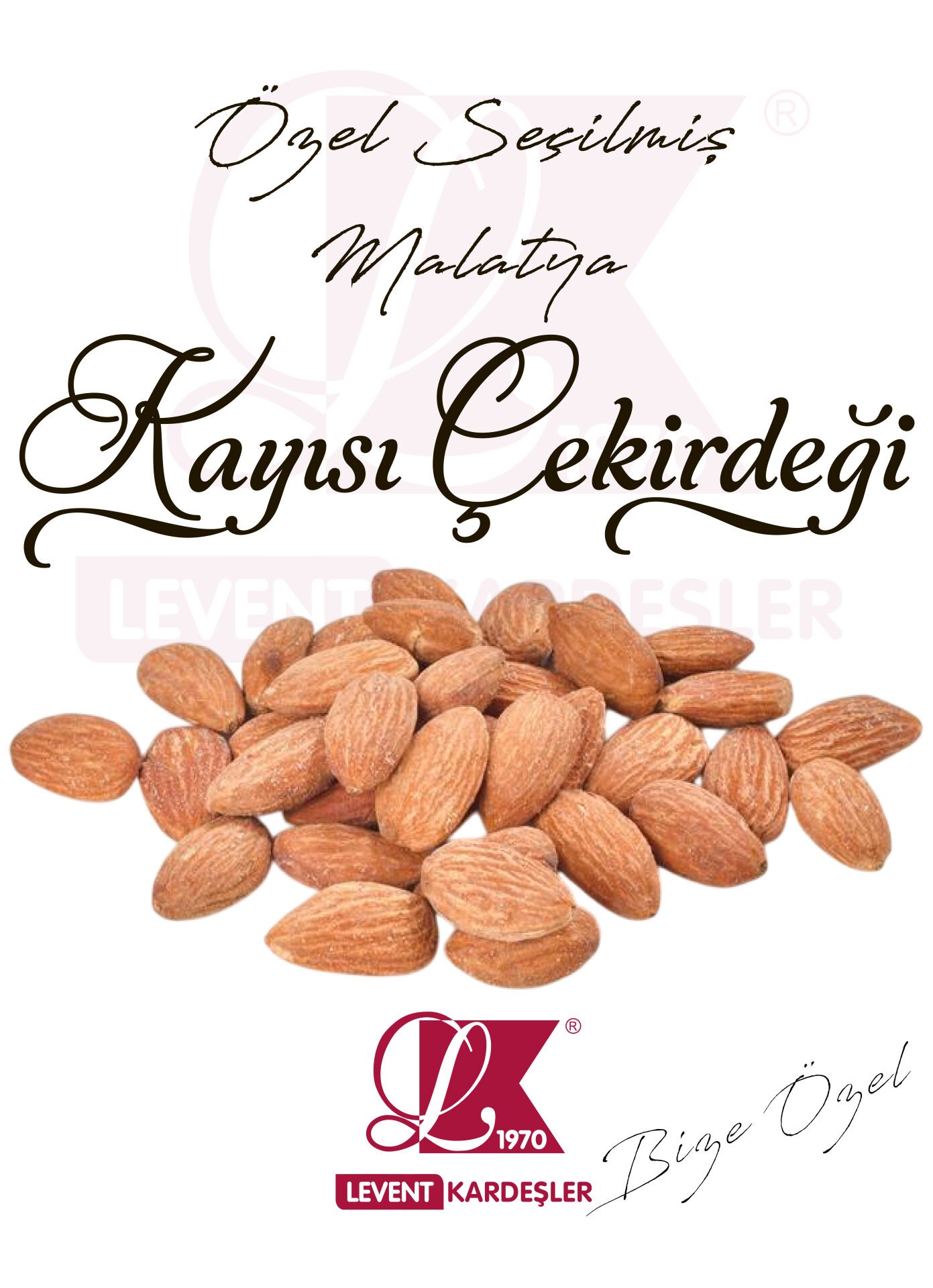 KAYISI ÇEKİRDEĞİ