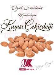 KAYISI ÇEKİRDEĞİ
