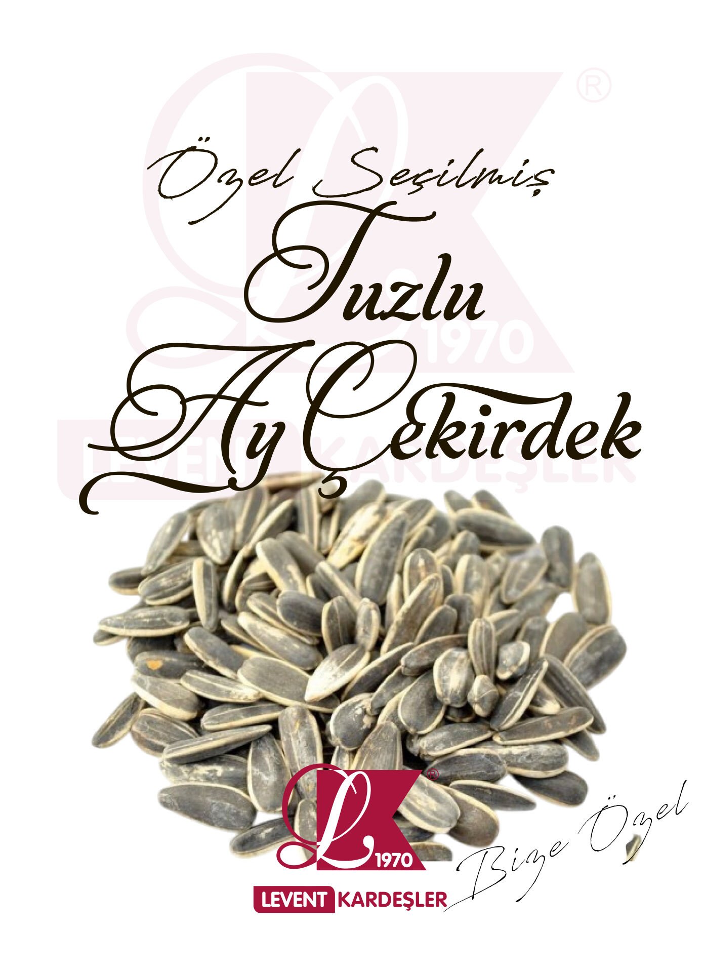 TUZLU AY ÇEKİRDEK