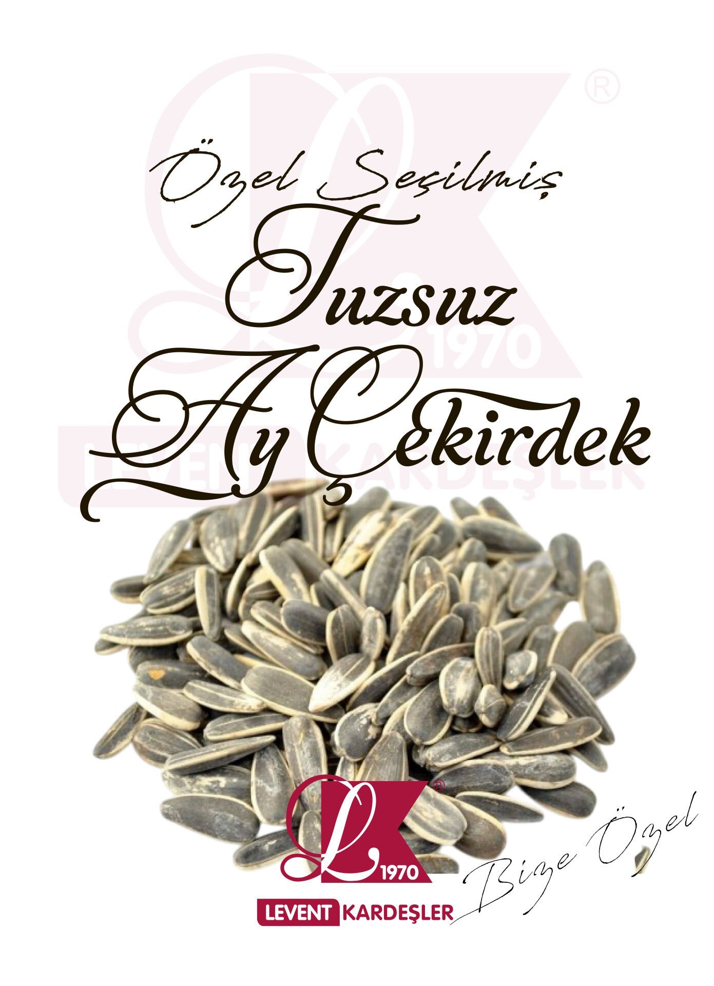 TUZSUZ AY ÇEKİRDEK