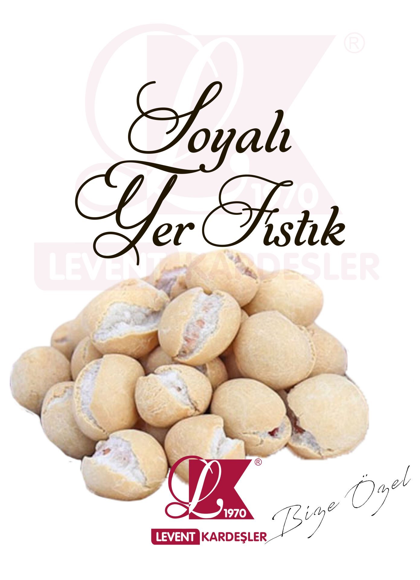 SOYA KAPLI YER FISTIK
