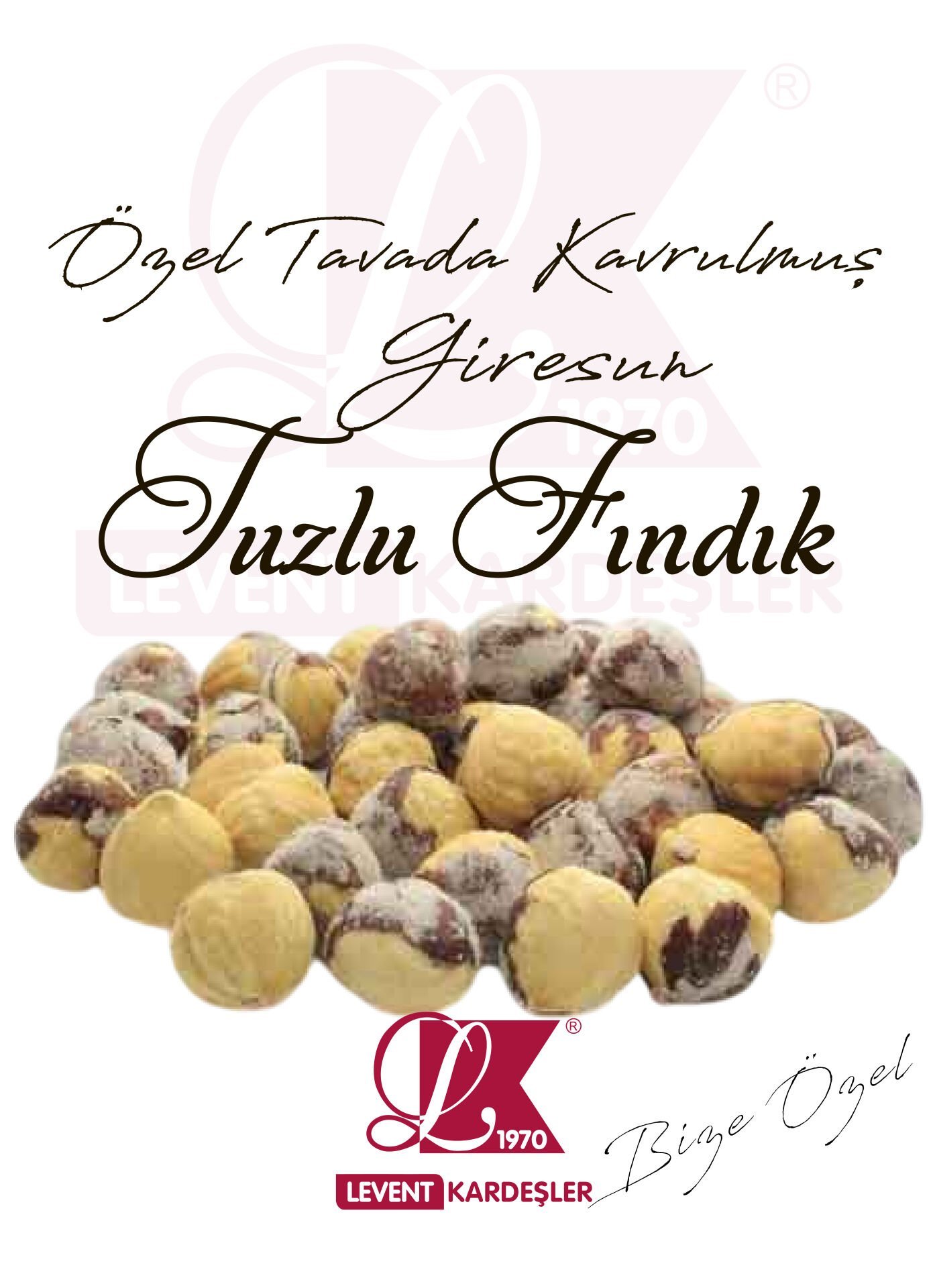 TUZLU FINDIK İÇİ