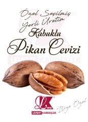 KABUKLU PİKAN CEVİZİ