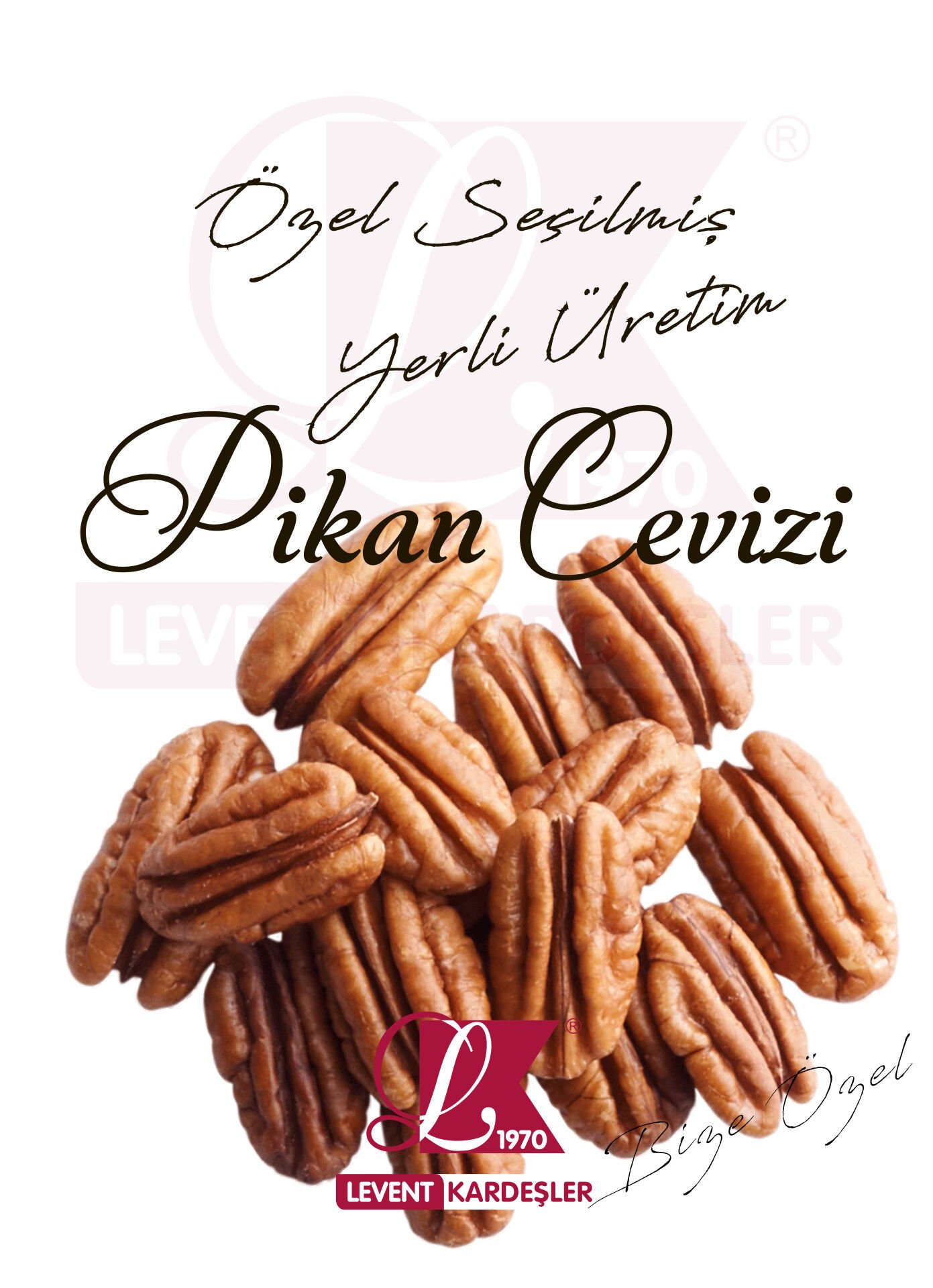 PİKAN CEVİZ İÇİ