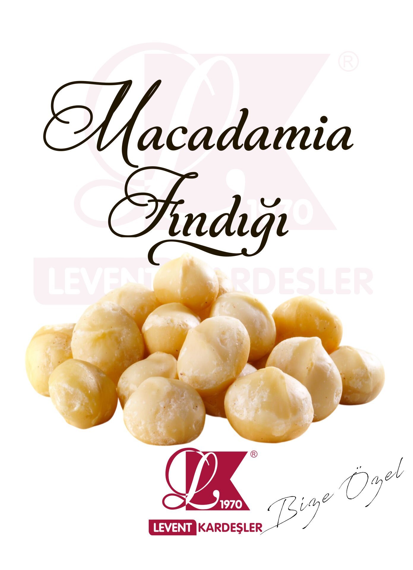 MACADAMİA FINDIĞI