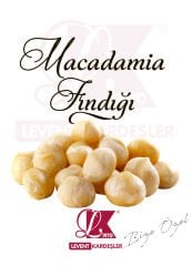 MACADAMİA FINDIĞI