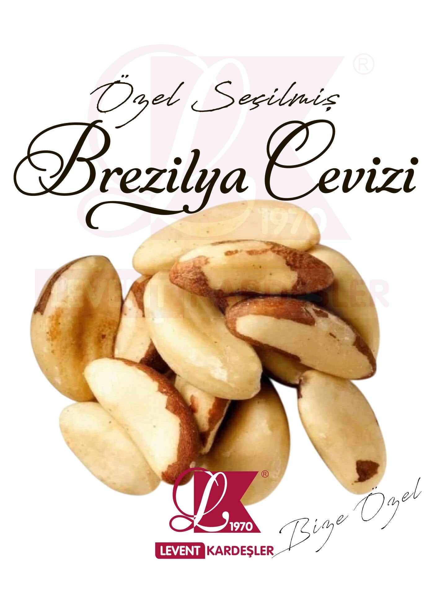 BREZİLYA CEVİZİ