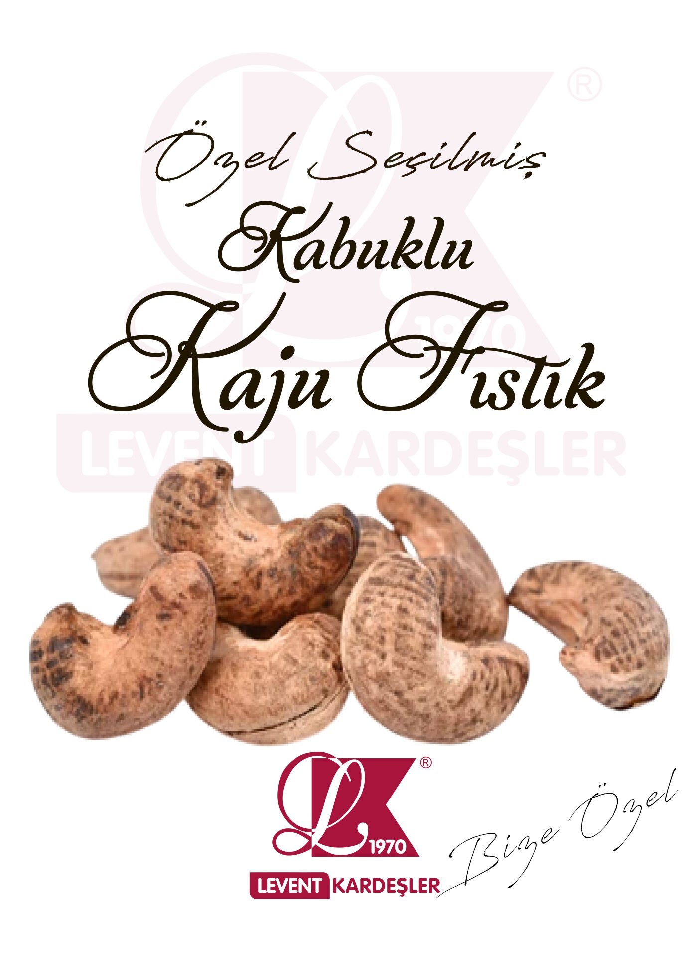 KABUKLU KAJU FISTIK
