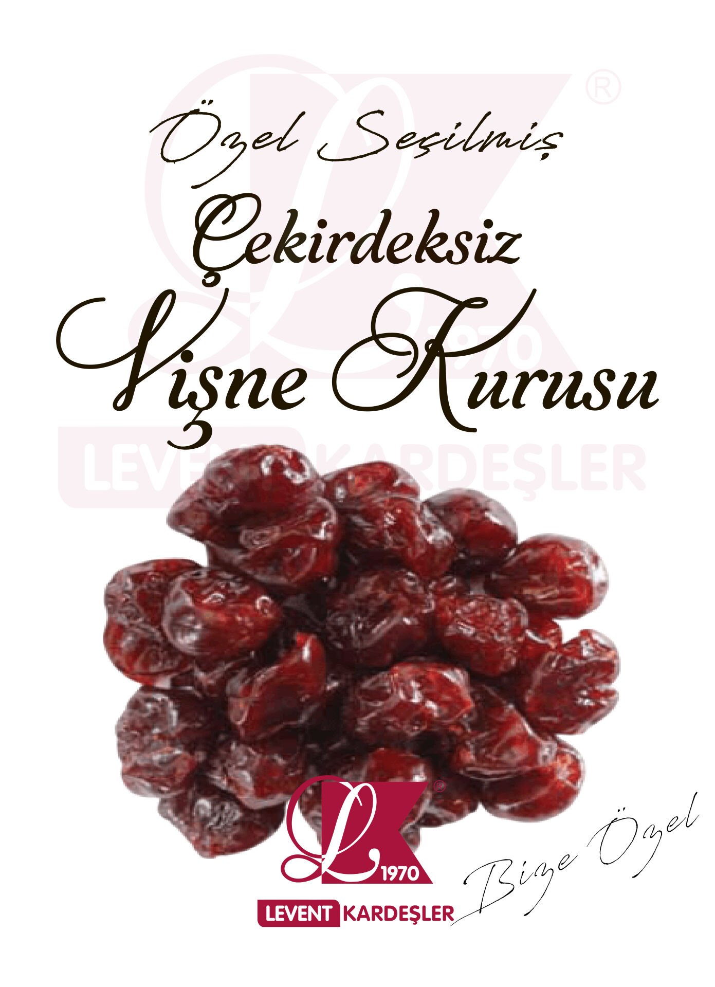 ÇEKİRDEKSİZ VİŞNE KURUSU