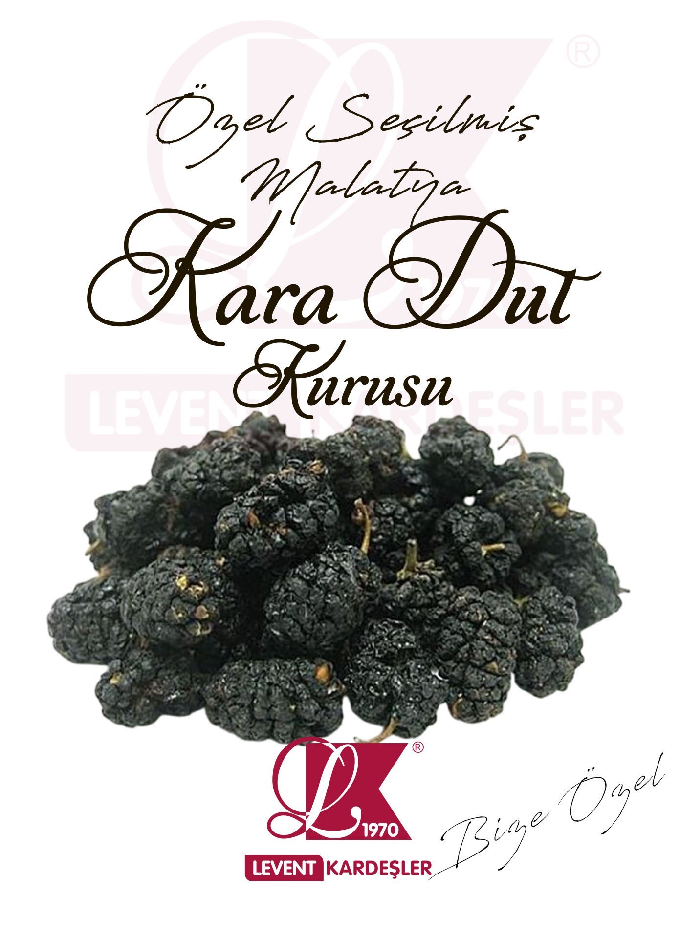 KARA DUT KURUSU