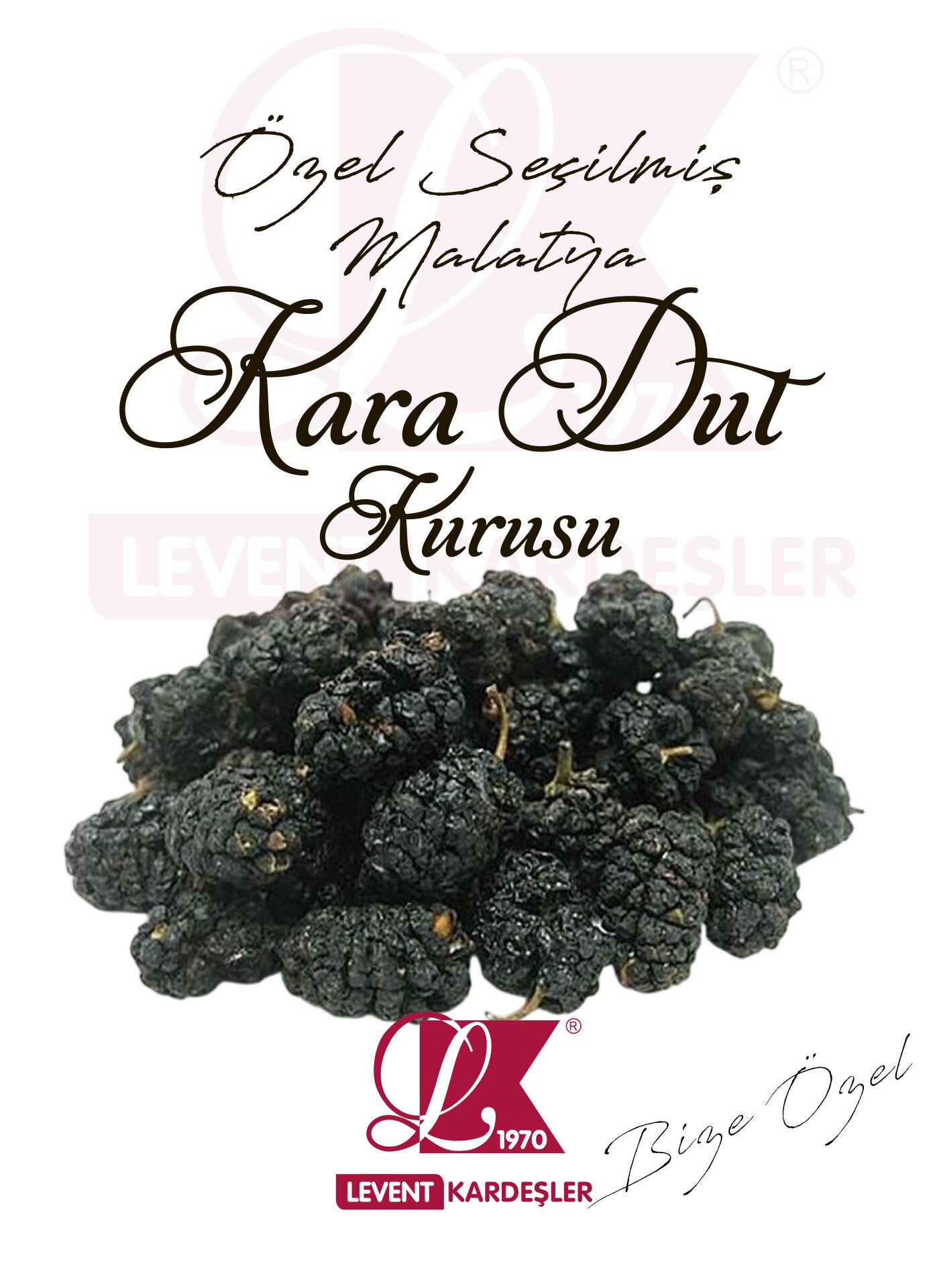 KARA DUT KURUSU