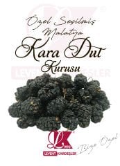KARA DUT KURUSU