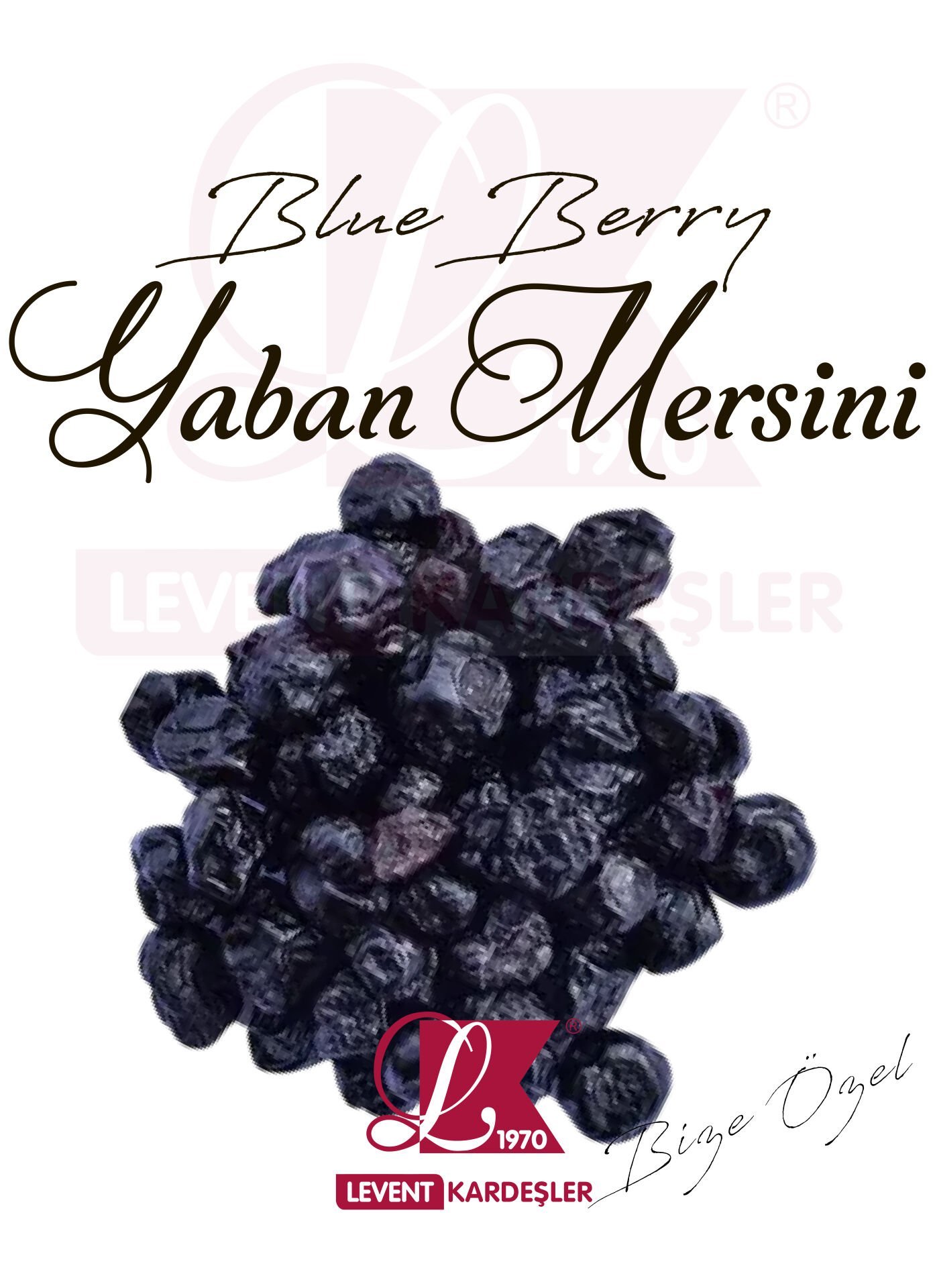 BLUE BERRY YABAN MERSİNİ