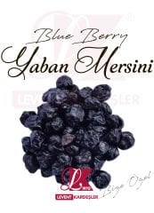 BLUE BERRY YABAN MERSİNİ
