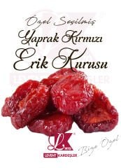 YAPRAK EKŞİ KIRMIZI ERİK