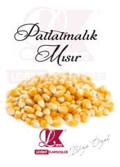 PATLATMALIK MISIR
