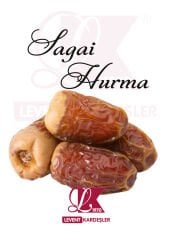 SAGAI HURMASI